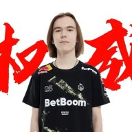Vz.将军